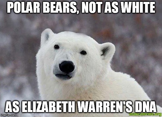 warren - polar bear.jpg